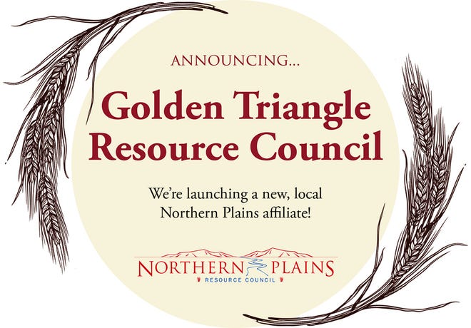 A launch party for the newly established Golden Triangle Resource Council will take place from 6-8 p.m. Thursday at The Celtic Cowboy.