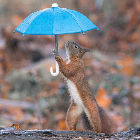 Niki Colemont is on a mission to bring joy to othe