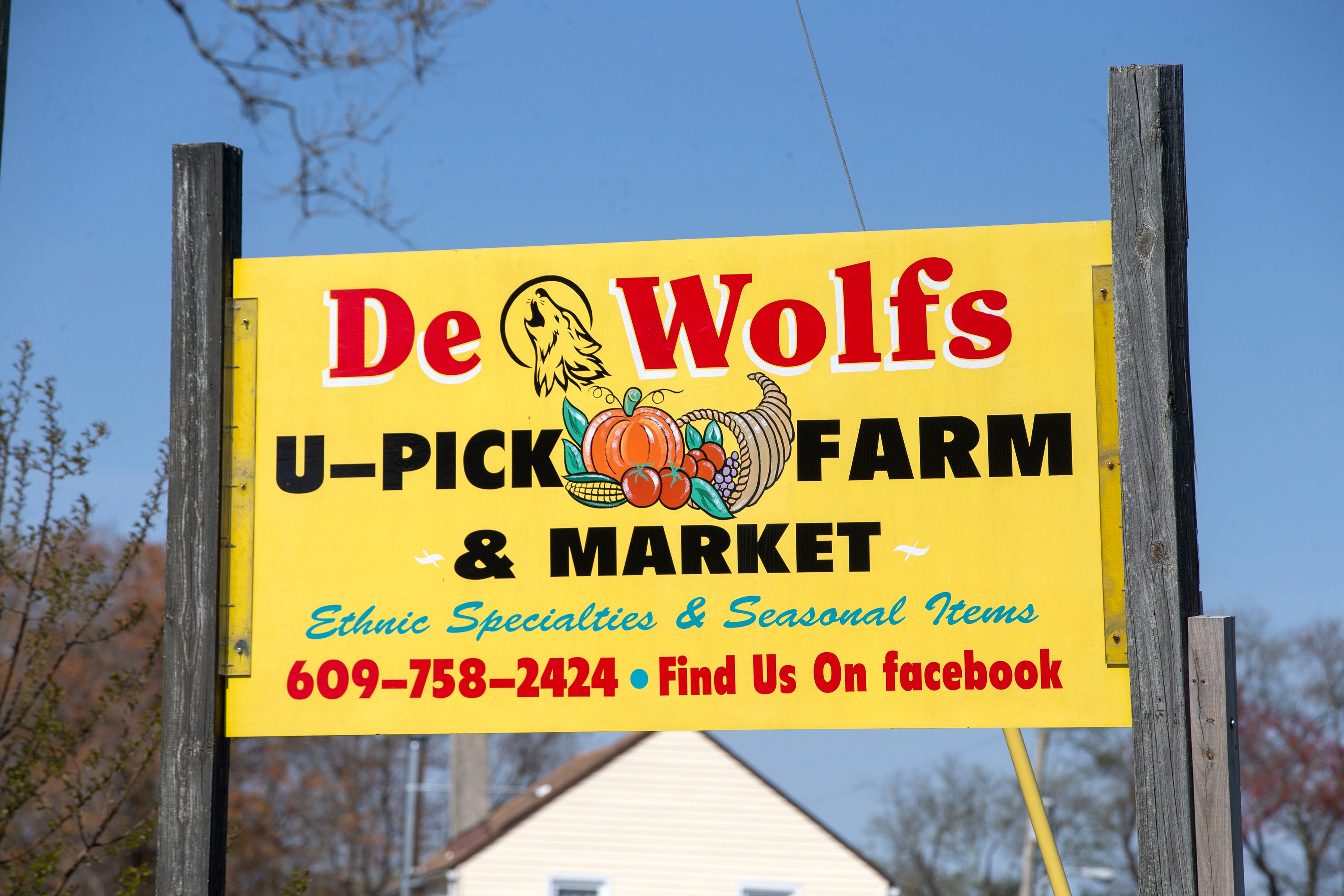 Plumsted NJ DeWolf's UPick Farm for sale as owner Kim DeWolf retires