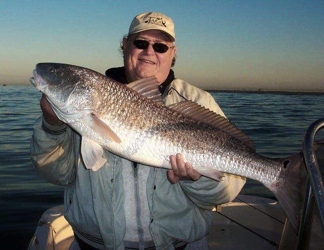 During a fishing trip in the Louisiana marsh, Clarion Ledger Outdoors editor Bobby Cleveland shows off a 37-inch, 23-pound redfish caught on his first cast on a cool December 2002 morning. (Photo by Tommy Martin/Special to Clarion Ledger, Clarion Ledger File Photo)