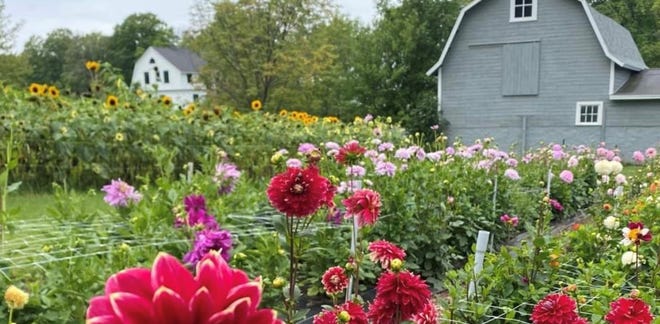 This site is on the 61st annual Door County Home and Garden Walk on July 26.