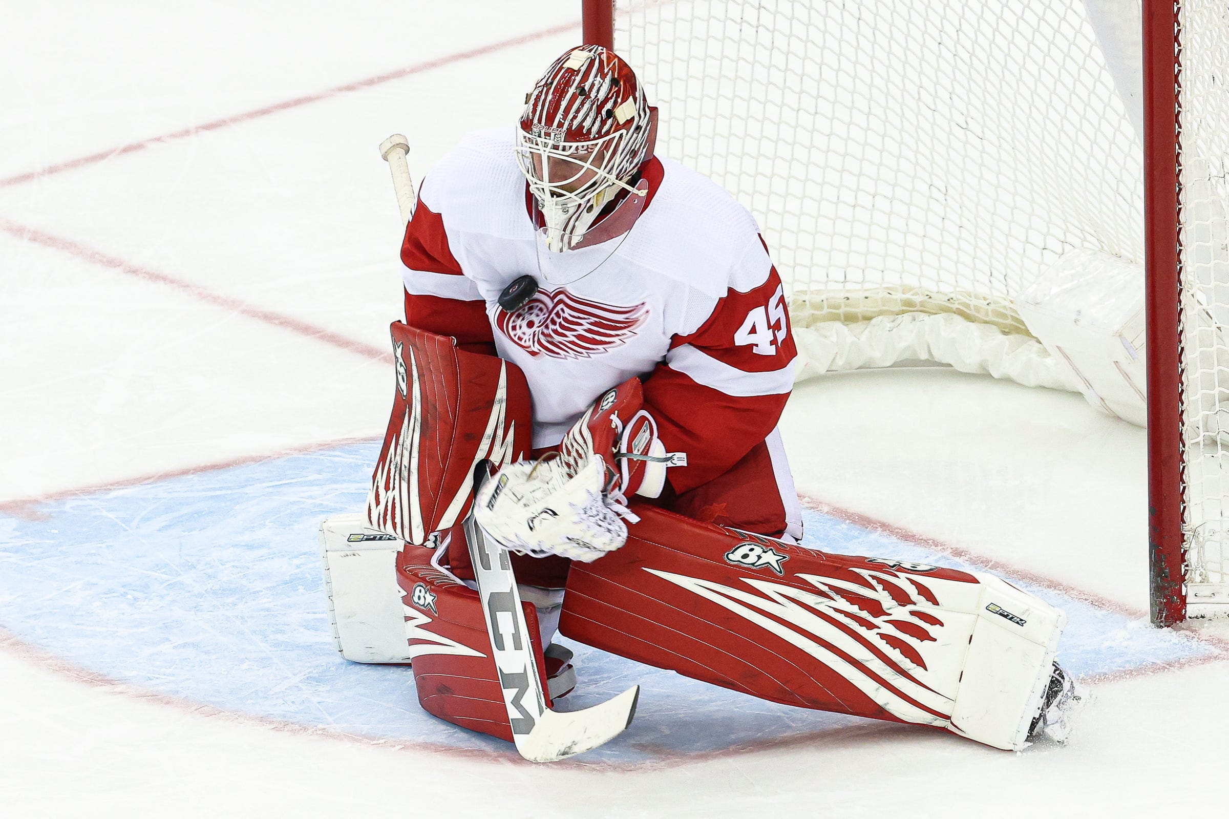 Detroit Red Wings have roster spot to keep Magnus Hellberg