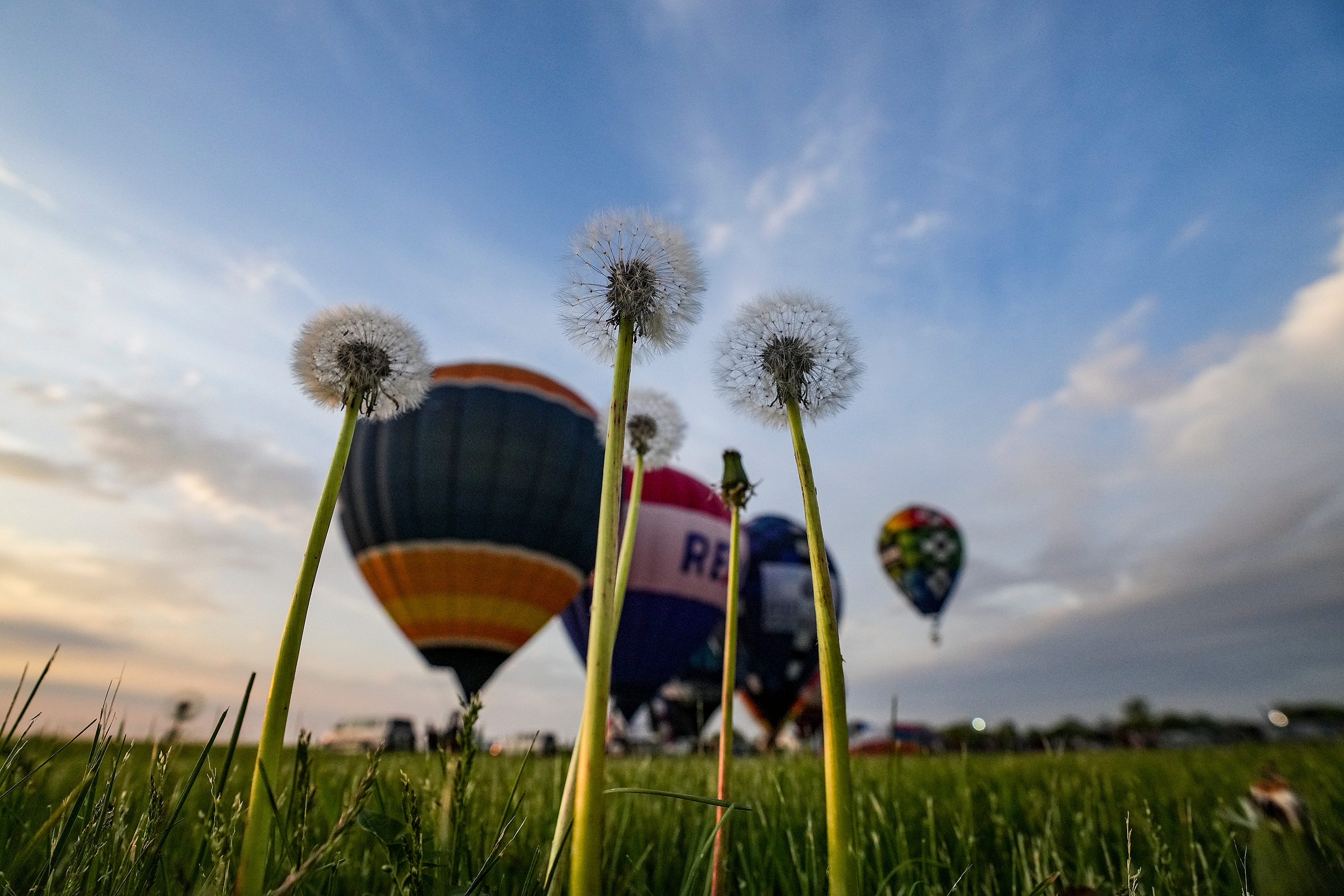 Louisville Great Balloon Race Photos from Kentucky Derby Festival event