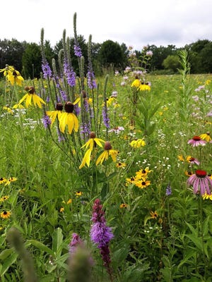 Four naturally landscaped gardens in the Eagle area are on the Walk on the Wild Side tour on  July 9. The tour is put on by the Kettle Moraine Chapter of Wild Ones.