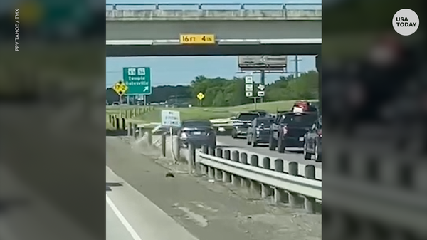 Hit-and-run captured in Temple, TX