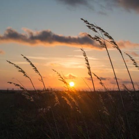 The sun rises over the Konza Praire Biological Sta