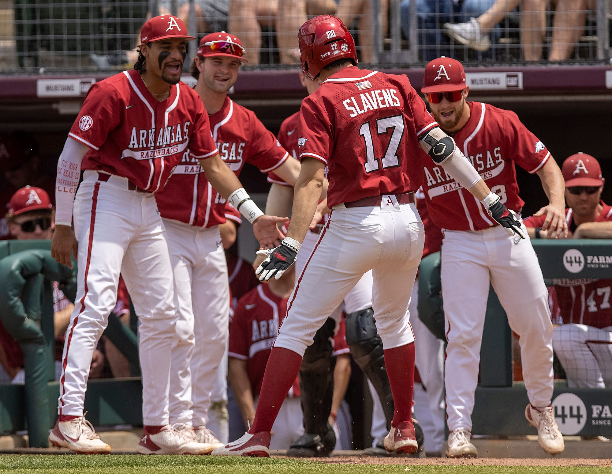 Arkansas Razorback Baseball Game Today Channel Demetra Leone arkansas-razorback-baseball-game-today-channel-demetra-leone