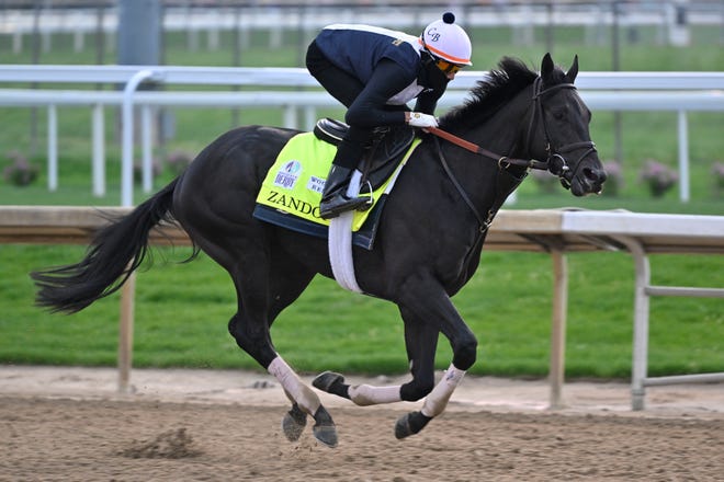 Kentucky Derby entry Zandon takes part in morning workouts at Churchill Downs.