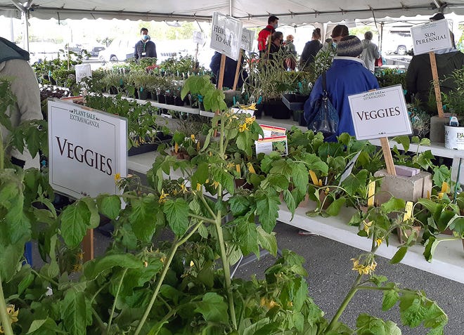 Reiman Gardens' Plant Sale Extravaganza is open to the public on Saturday and Sunday.  Members can get an early jump on shopping Friday.