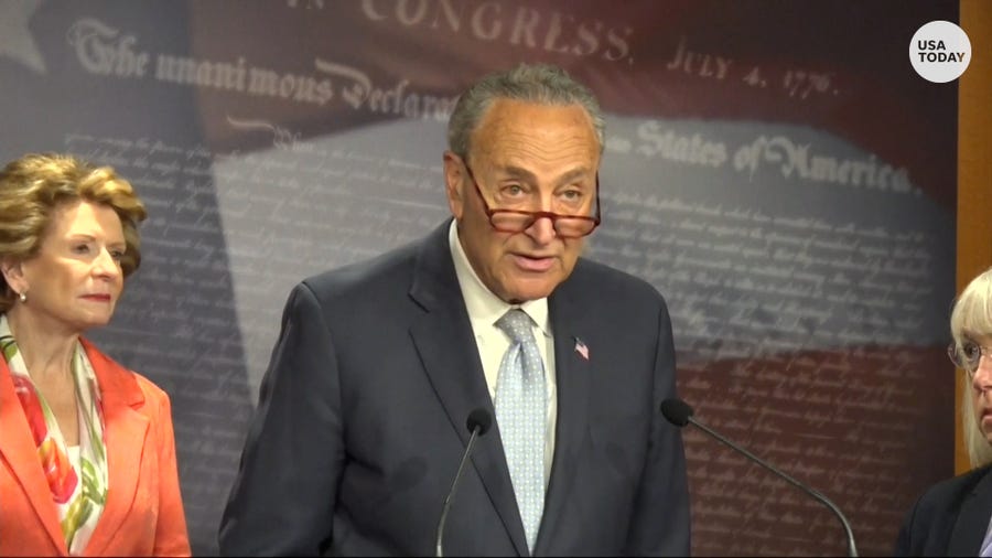 Senate Majority Leader Chuck Schumer discusses abortion rights.