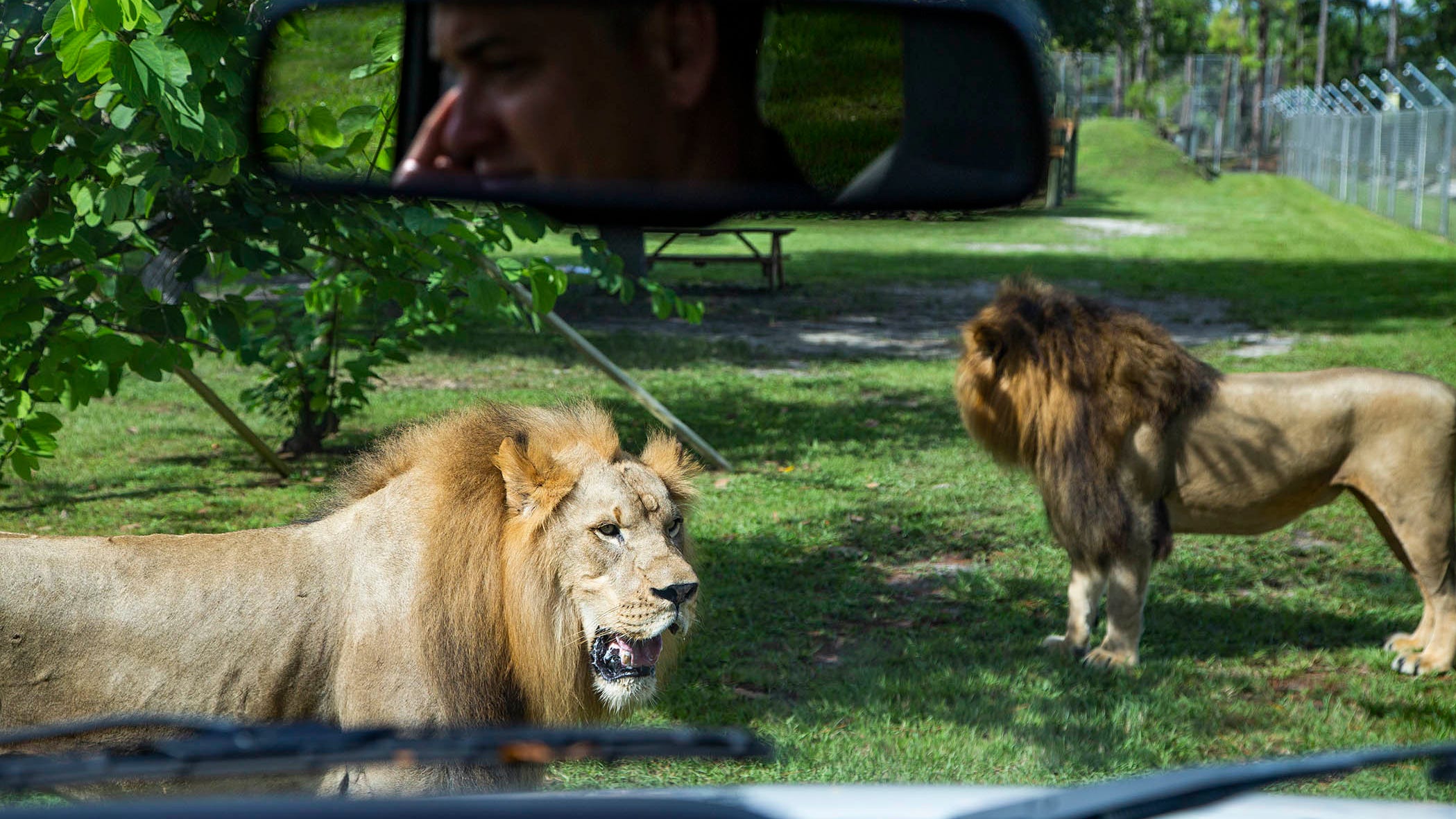 is lion country safari safe