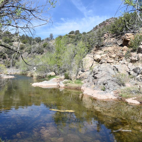 A calm bend in the East Verde River near Payson.