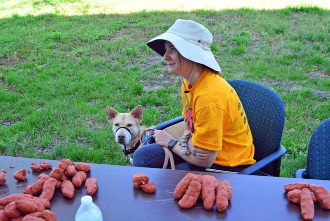 MU College of Veterinary Medicine welcomes guests to ‘Purrassic Bark’