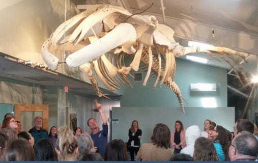 The Center for Coastal Studies will hold a community open house at its lab and offices, 5 Holway Ave., Provincetown, from 11 a.m. to 3 p.m. May 14.