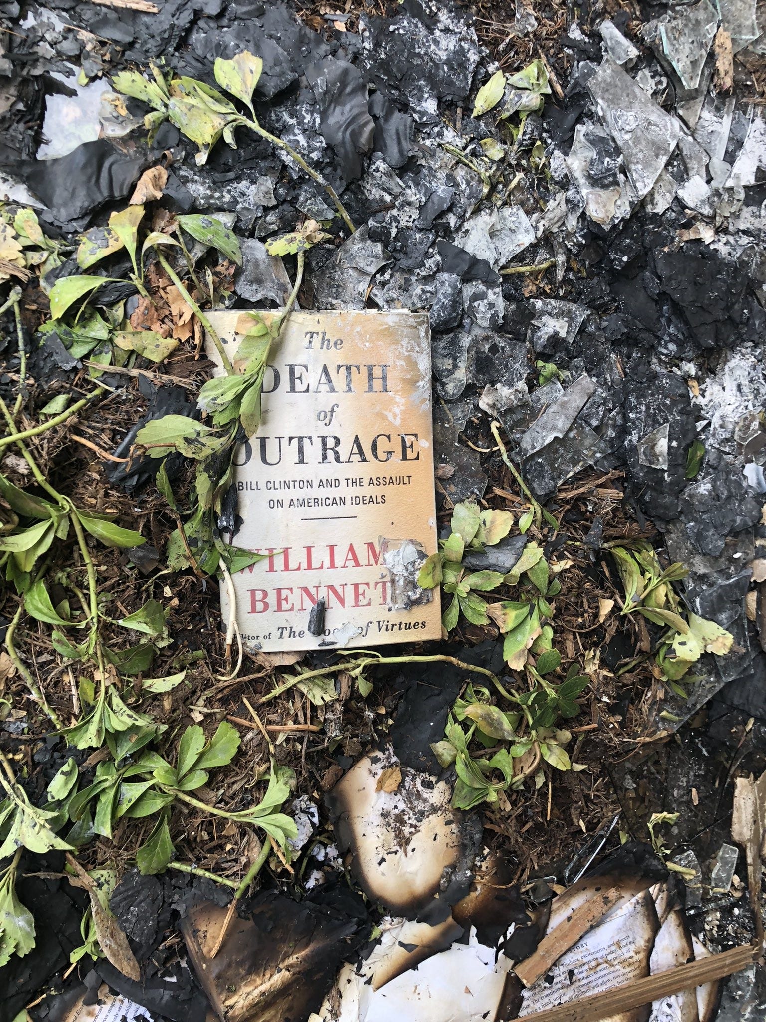 A book surrounded by charred pages and broken glass rests outside the Wisconsin Family Action office on Sunday, May 8, 2022 after an early morning fire. Police in Madison are investigating the incident as arson, and a spray-painted message on the outside of the building as a threat.