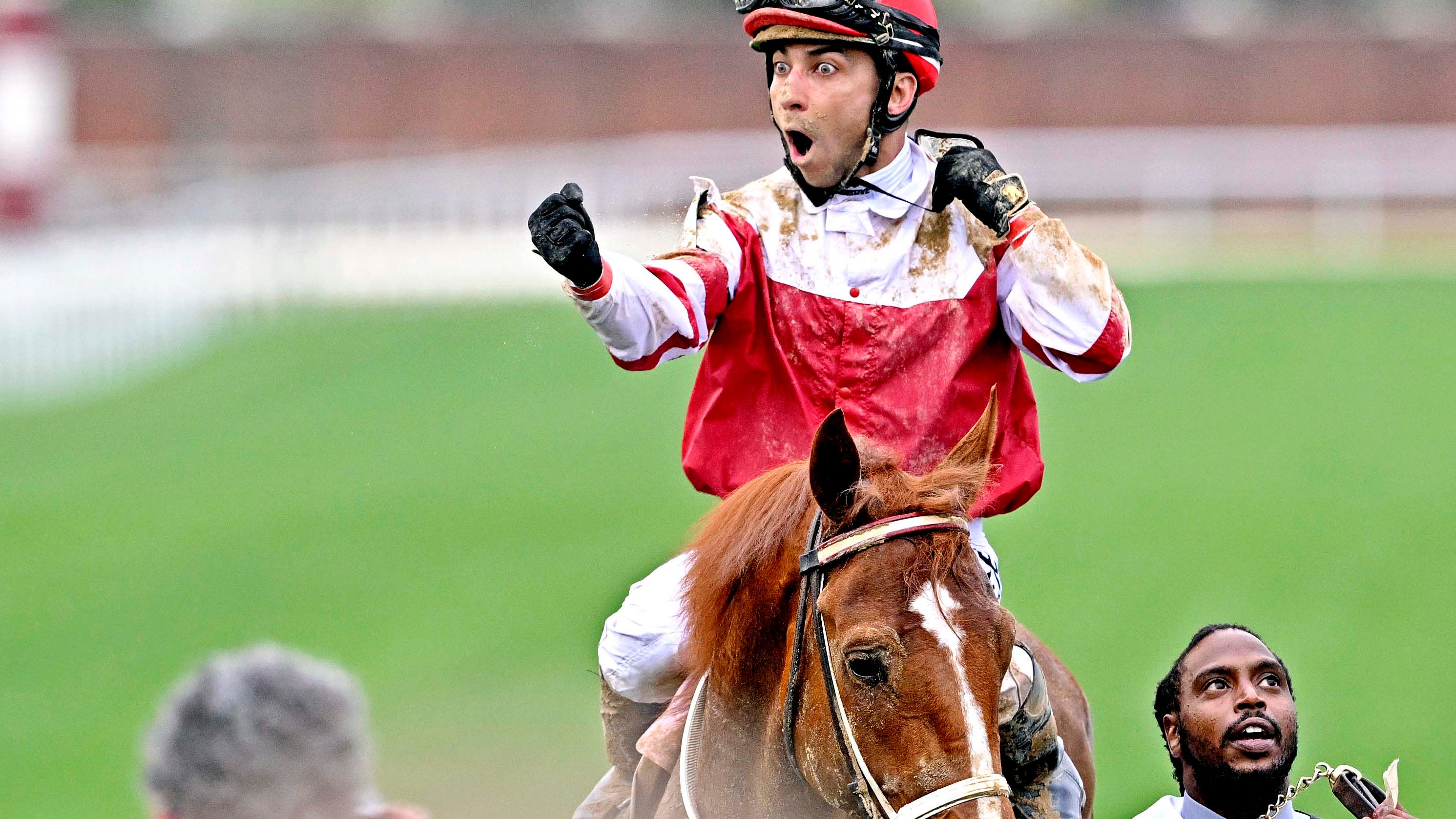 Belterra Entries