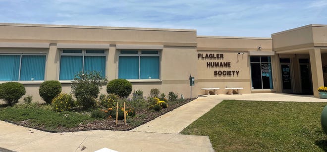 Flagler Humane Society is celebrating its 40th anniversary this year.
