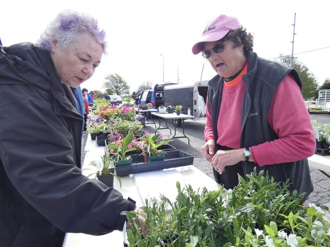 Becky Witter, right, helps Bucyrus resident Carolyn Kelley select some plants at the Bucyrus Farmers Market on Saturday morning.
