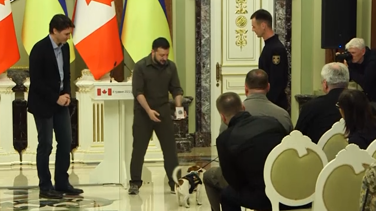 Patron, viral Ukrainian bomb-sniffing dog, receives state honors from President Zelenskyy thumbnail