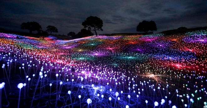 The "Field of Light" display at Sensorio in Paso Robles is an art display made up of nearly 60,000 solar-powered lights. The "Field of Light" at Lady Bird Johnson Wildflower Center will look similar.