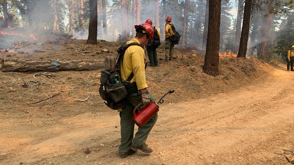 A U.S Forest Service team sets a prescribed burn i