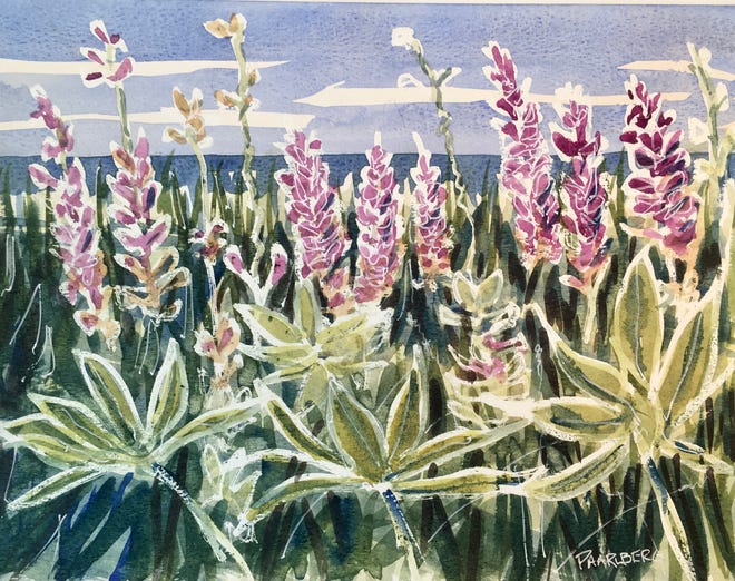 "Lupines by the Sea,” a watercolor painting by Bill Paarlberg, is on display at York Public Library in the Library’s Centennial Auction Art Show.