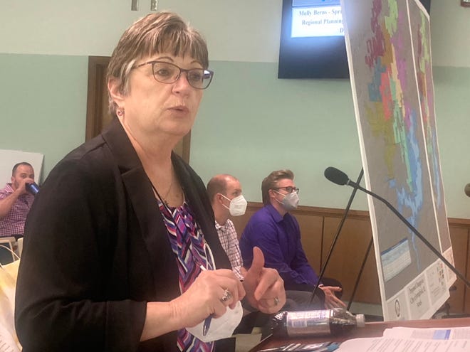 Molly Berns, executive director of the Springfield-Sangamon County Regional Planning Commission, addresses Tuesday's committee of the whole in Springfield. The city council must adopt new ward maps by Aug. 23. The presentation was a first look at the ward maps drawn by the commission.