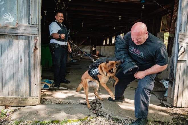Dover police Officer Jordan Doughty and his partner, Red, work on bite simulations with Salem Police Officer Steve LaRosa on Wednesday in Dover. The three were among a group of officers from around the state invited to participate in a day-long training session run by the Police K-9 Association, organized by Canton Police Officer Chris Heslop.
