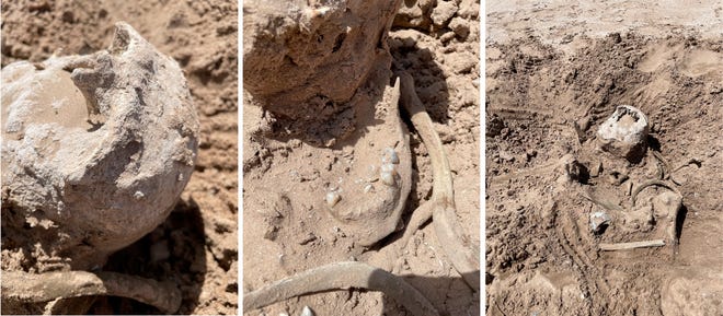 These photos of Saturday, May 7, provided by Lindsey Melvin of Henderson show human remains she and her sister discovered on a sandbar that recently surfaced as Lake Mead recedes.