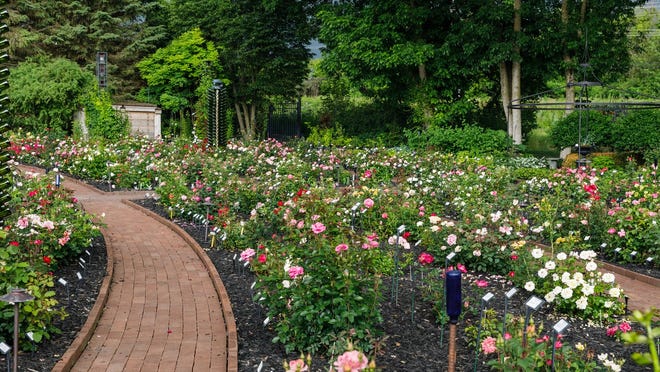 Milwaukee-area garden tours are greening up for visitors in 2022 Milwaukee-area garden tours are greening up for visitors in 2022