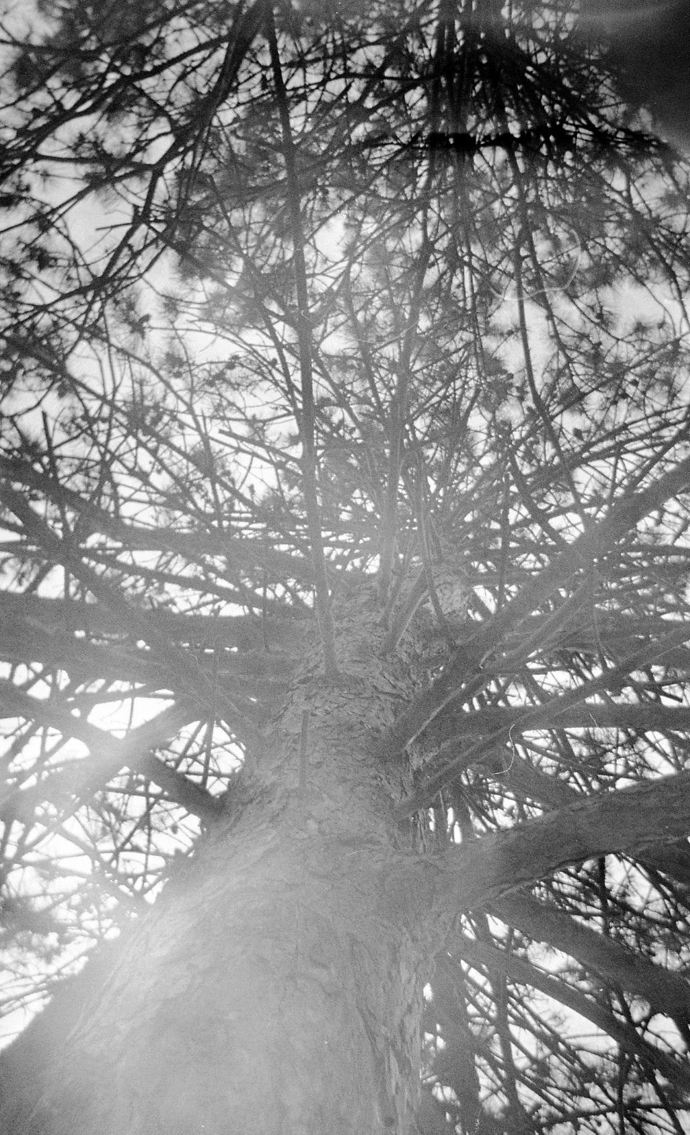 Freep Film Fest attendees take black and white photos on film cameras