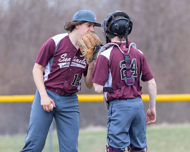 Charyl Stockwell's Aidan Liedeke (12) struck out 20 batters and Chris Petroski (24) drove in the game's only run in the ninth inning to beat Whitmore Lake.