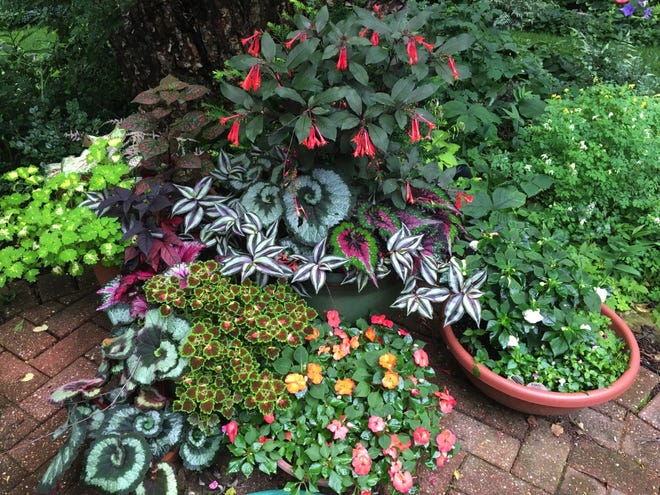 Seven rural gardens will be on Olbrich’s Home Garden Tour July 8 and 9.  The gardens are in the Oregon, Wisconsin, area, in Dane County.