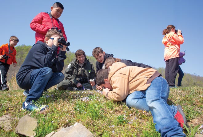 Shawnee State Park naturalist Jenny Richards watches as Portsmouth fourth graders examine bluets with their binoculars turned backwards and a hand lens.