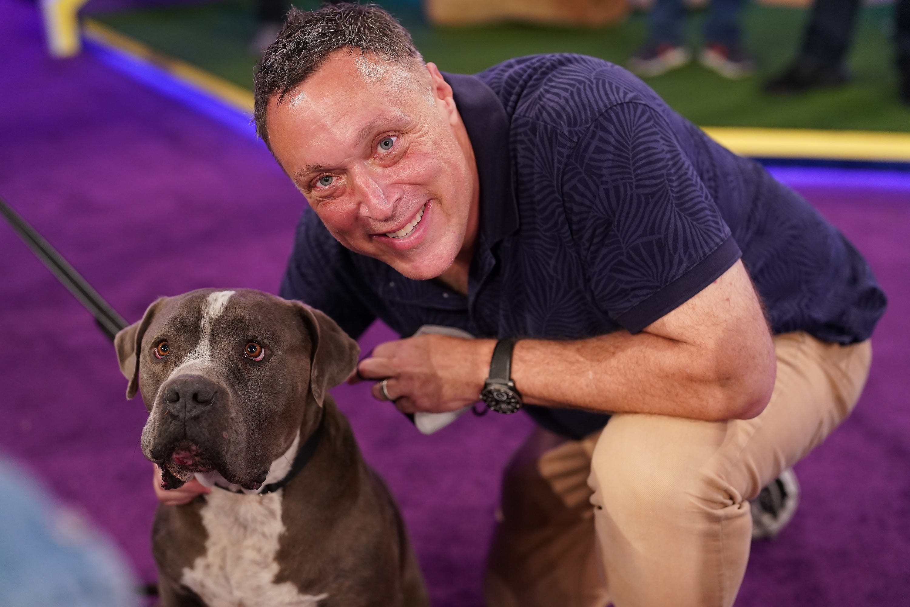 ABC's 'The American Rescue Dog Show' aims to encourage pet adoption ABC's 'The American Rescue Dog Show' aims to encourage pet adoption