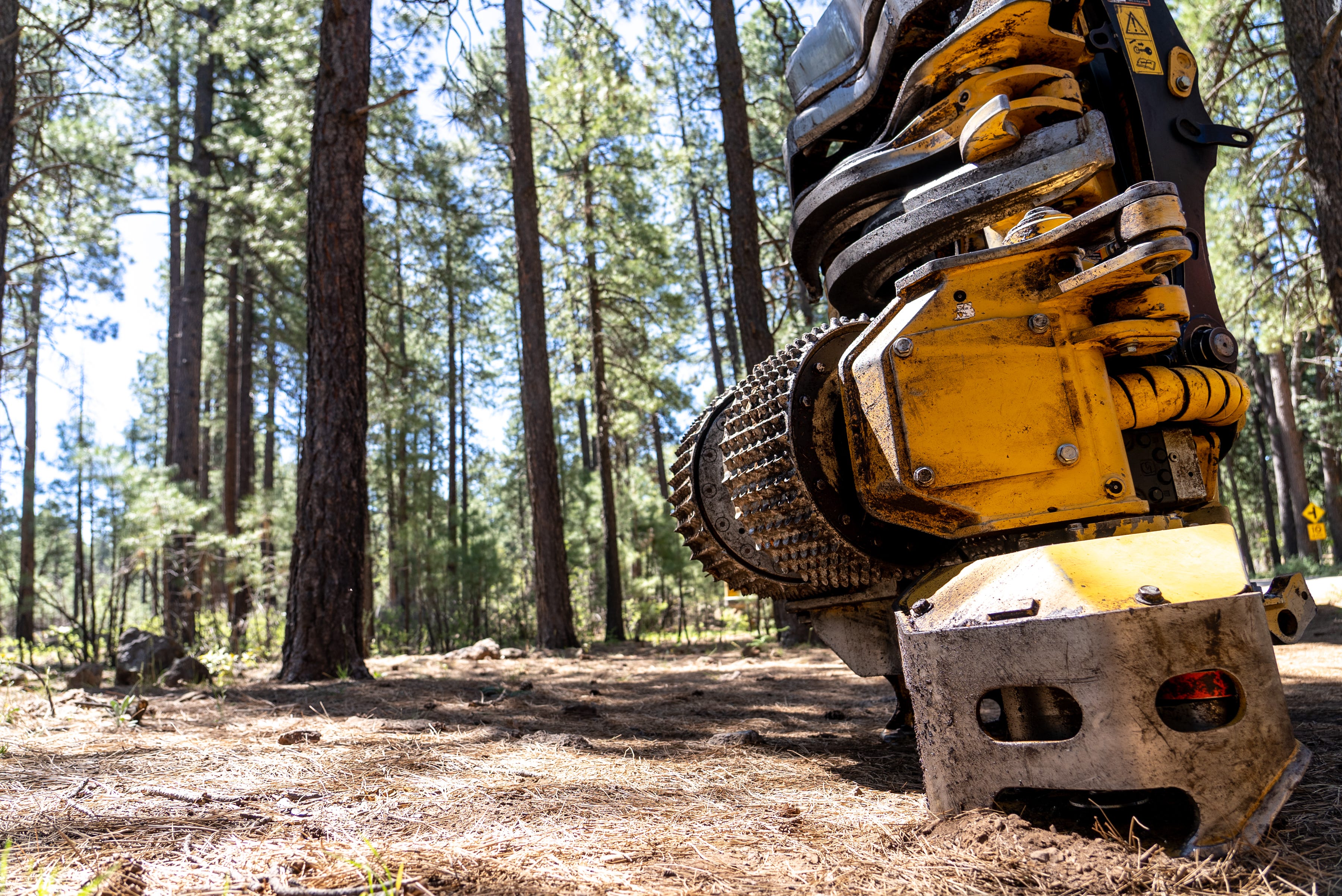 Tree logging equipment is stationed within Baker Butte near the Mogollon Rim, part of the Coconino National Forest on May 16, 2022.