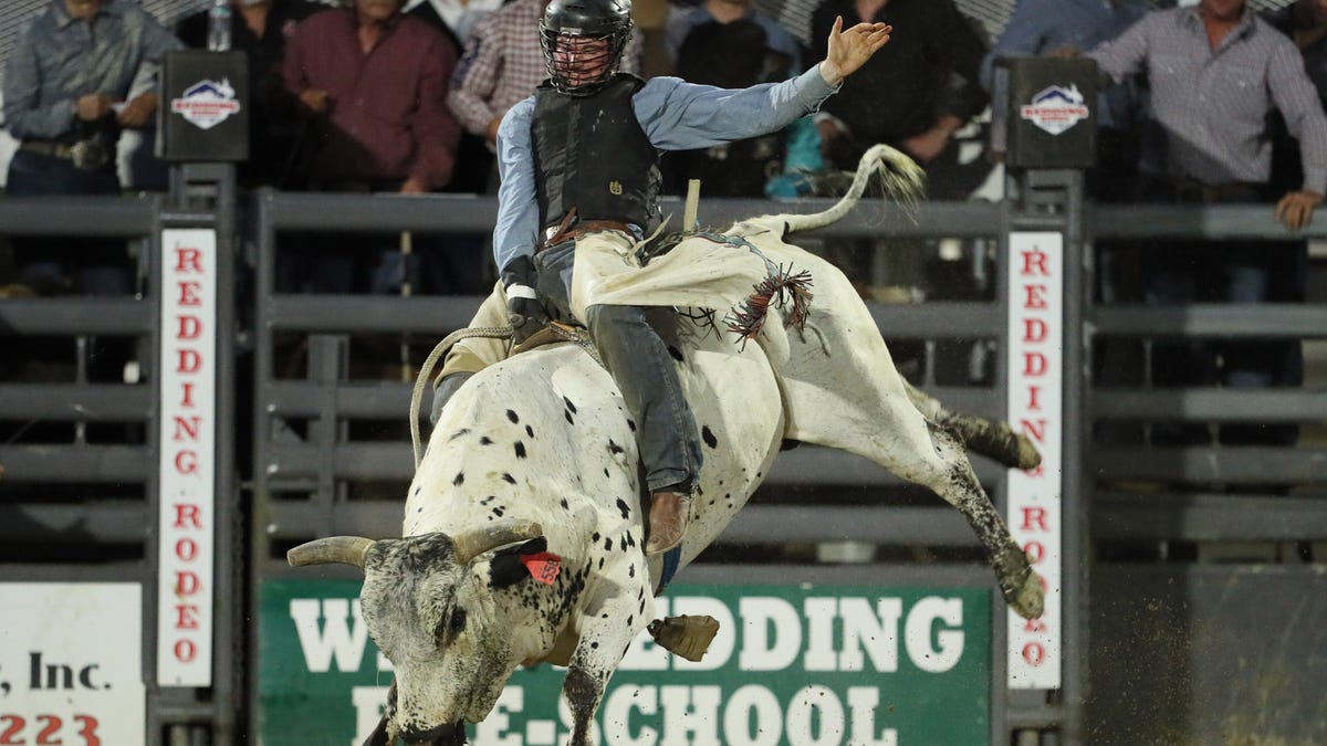 Bull escapes California rodeo, injures six people before being captured
