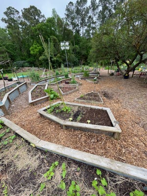 The vegetable garden in the Leon County Extension Office demonstration garden.