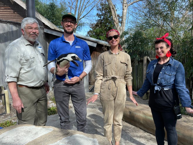 En Louisville, Katy Perry visita el zoológico y encuentra un perezoso durante el tiempo en KY