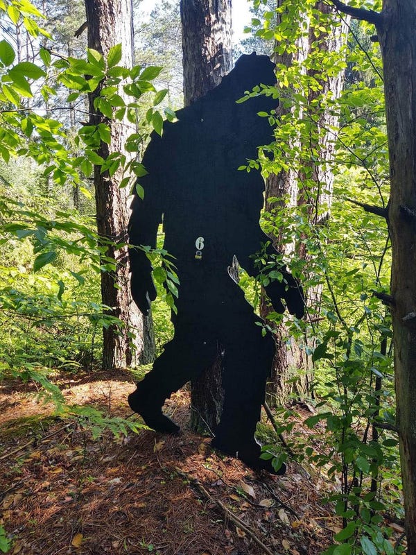 Discover more than Sasquatch at 2025 Bigfoot Festival in Marienville