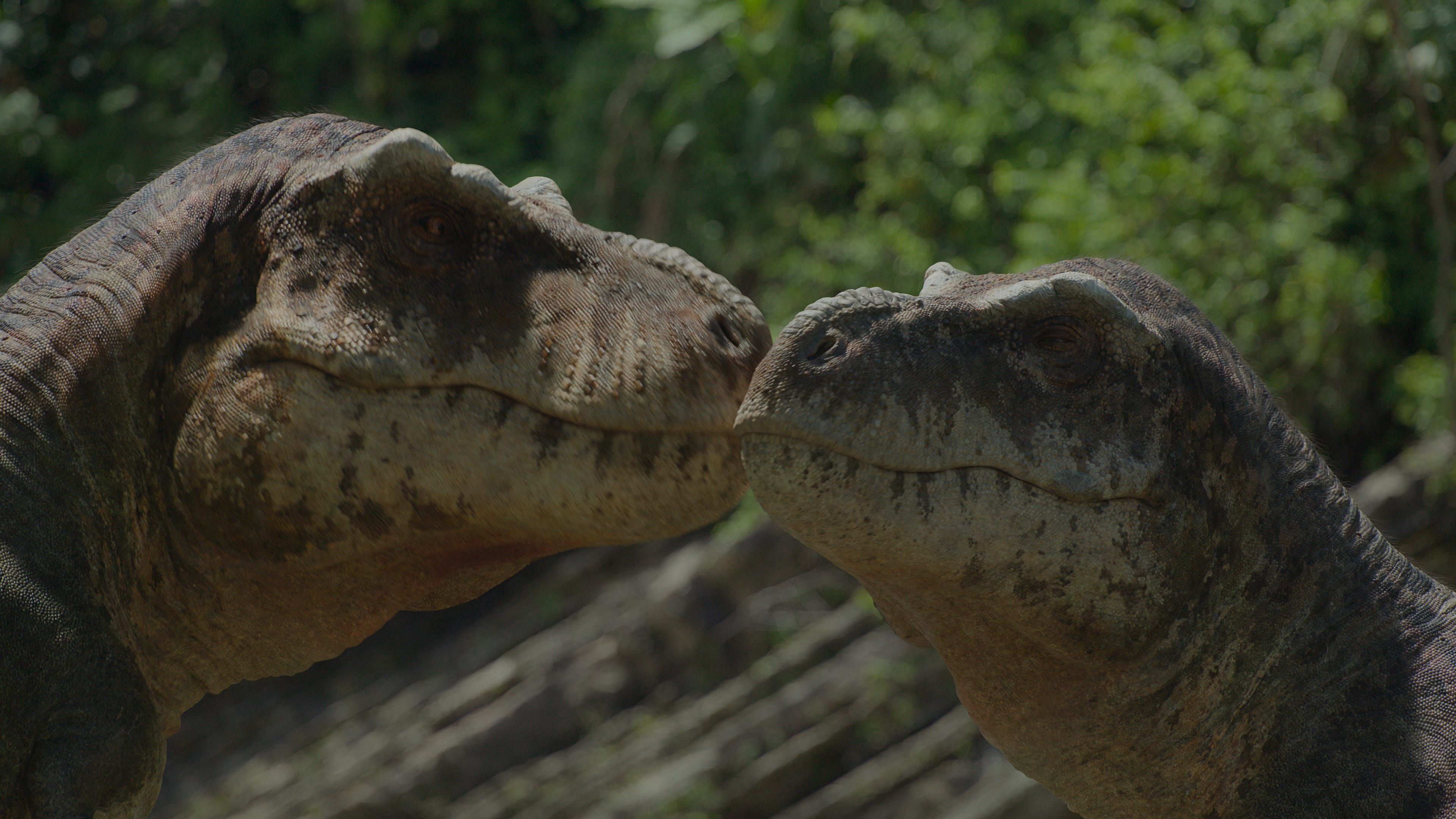 Prehistoric Planet': T-Rex as gentle lover in tender mating scene
