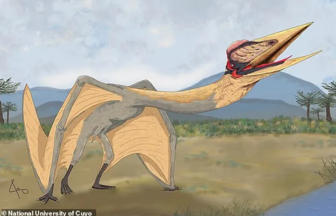 Ancient fossils of gigantic 'Dragon of Death' flying reptile unearthed in Argentina