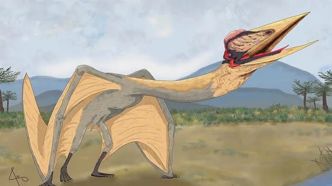 Dragon of Death' flying reptile fossils discovered in Argentina