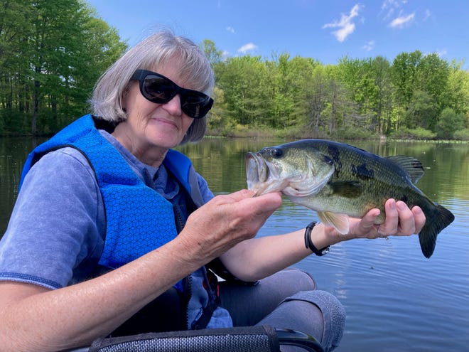 Jean Holden, wife of outdoors correspondent Art Holden, had a fantastic fishing trip to Pymatuning Reservoir in May. Here she shows off a largemouth bass she caught on a weedless Yum Dinger. Note the black splotches on the fish, a condition called “Melanosis,” where a skin cell cannot regulate pigment like it should.