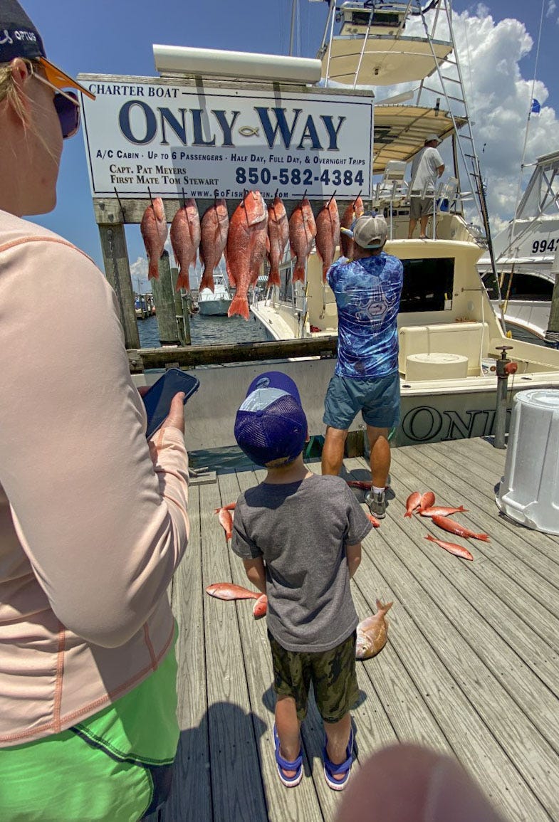 red snapper fish red snapper fish
