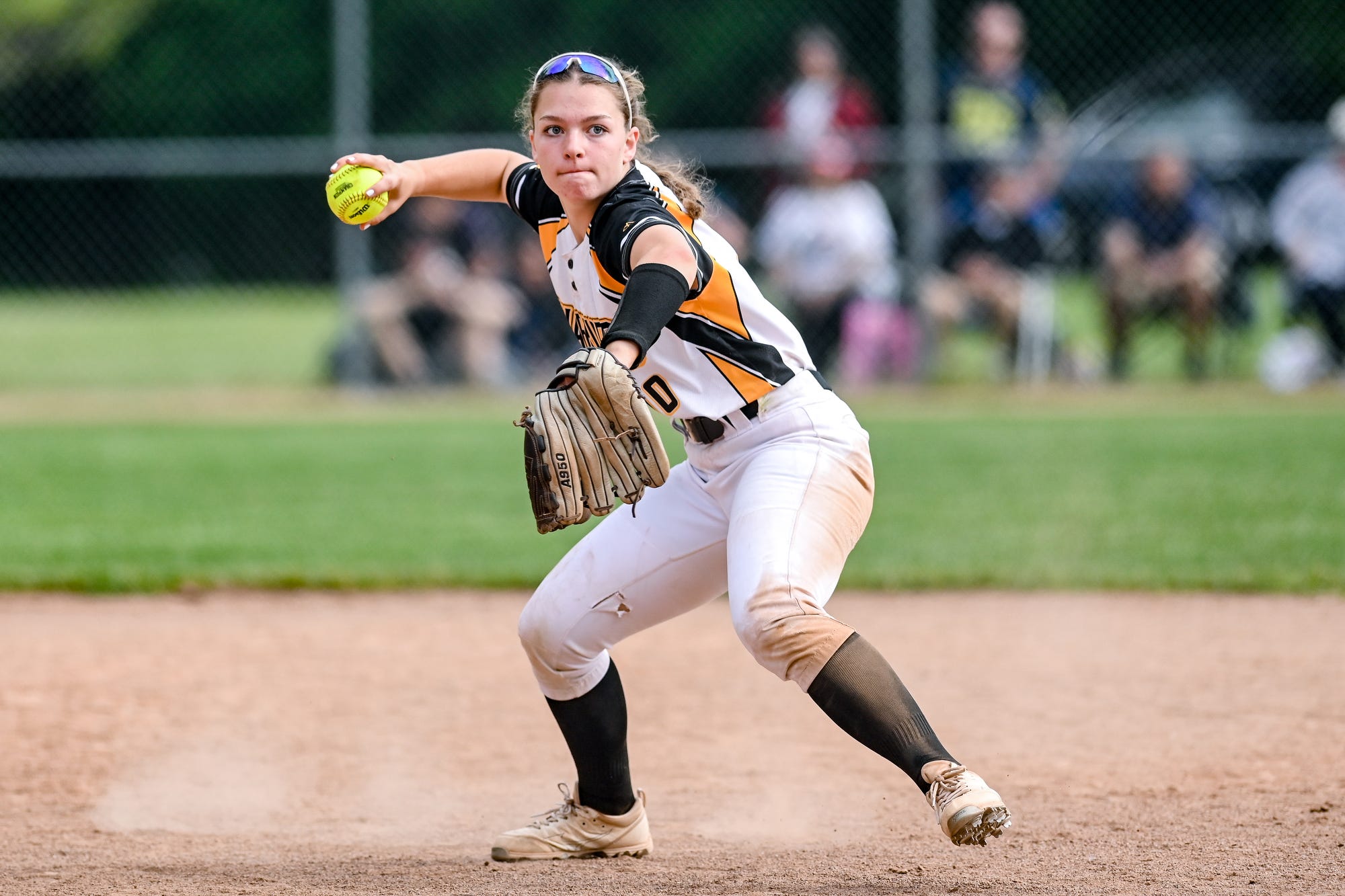 Greater Lansing high school softball overview
