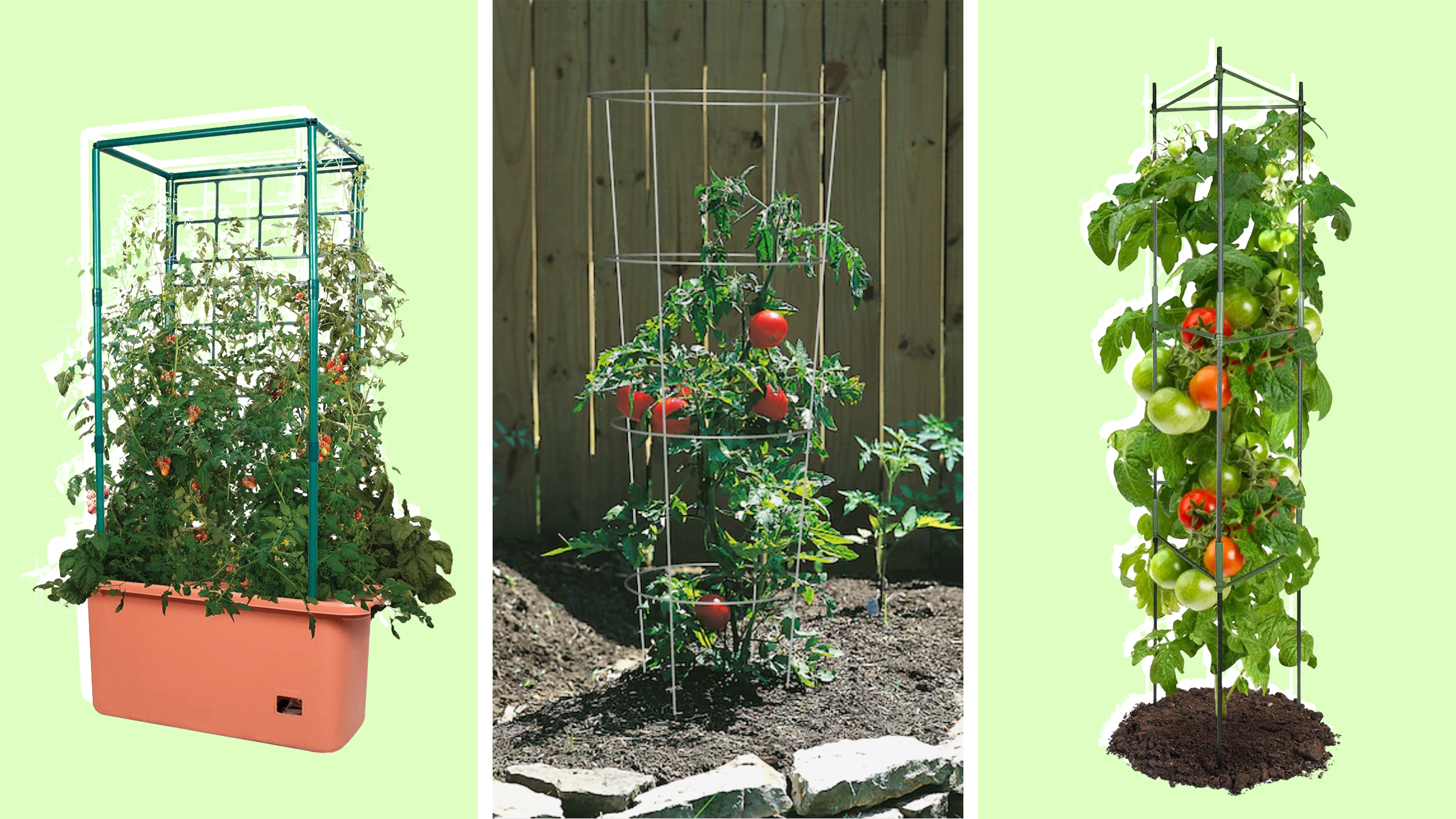 10 supportive, stylish tomato cages to grow the best ripe and juicy fruit