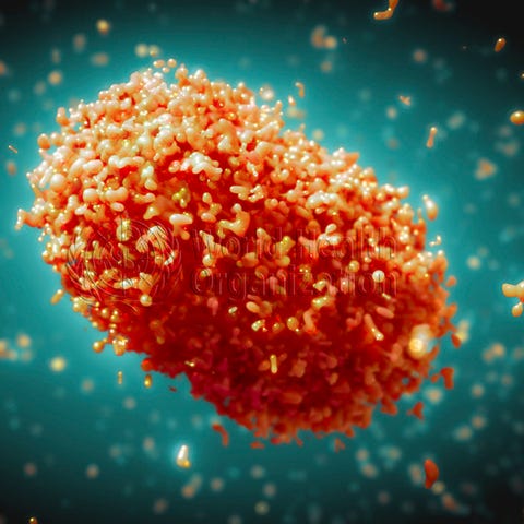 An illustration of monkeypox virus particles. This