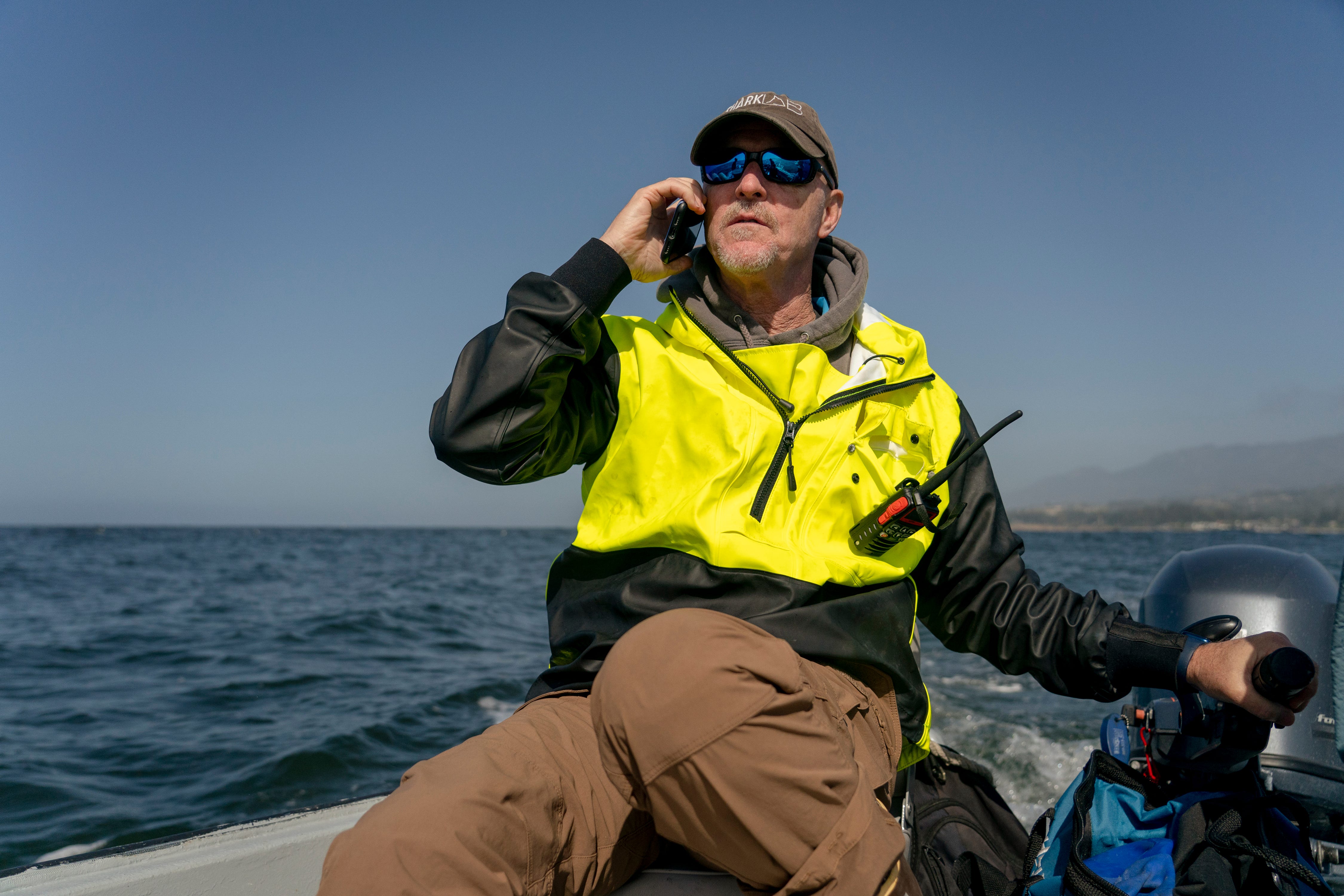 Great white sharks at California beaches: What scientists are finding