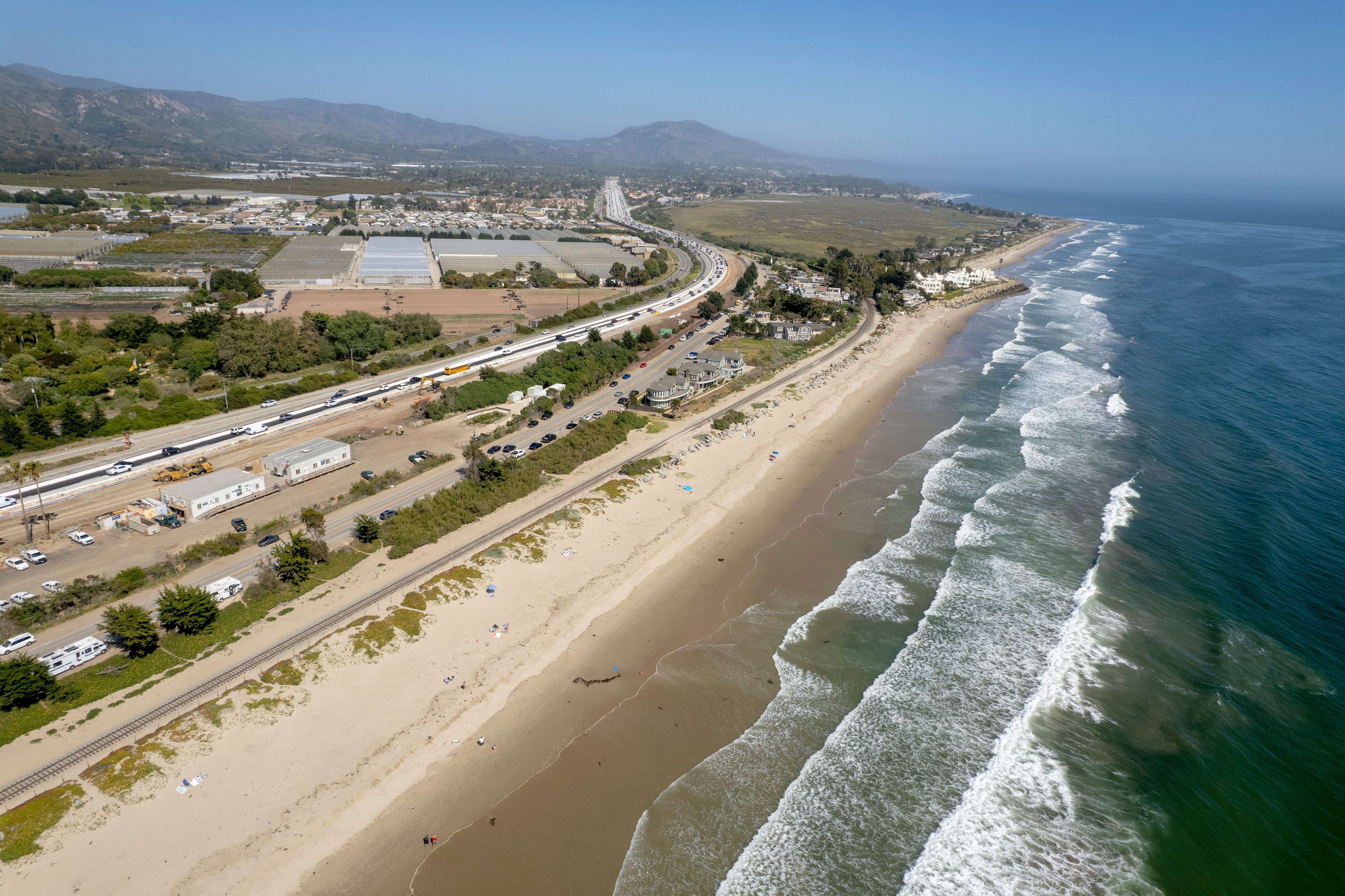 Great white sharks at California beaches: What scientists are finding